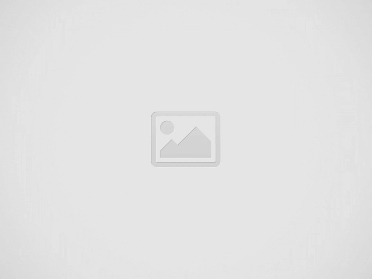 인테리어 초보가 쉽게 꾸밀 수 있는 소품 추천