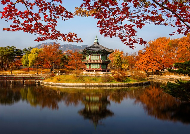 신라의 외교 전략과 군사적 협상 방법