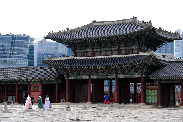 신라의 왕권과 군사적 전략 배우기